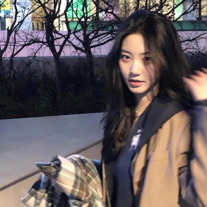 苦藤